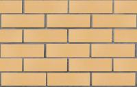 Кирпич лицевой клинкерный пустотелый ЛСР пшеничный "Валенсия" гладкий M300, 250*85*65 мм