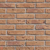 Клинкерный кирпич Vandersanden FB WS Oranje, WF 207х98х50 мм
