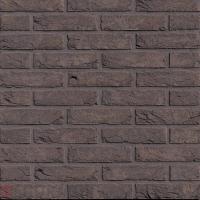 Клинкерный кирпич Vandersanden FB Zwart Mangaan, WF 207х98х50 мм