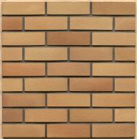 Клинкерный кирпич Westerwaelder WK06 Hellbraun-bunt, 290*90*40 мм