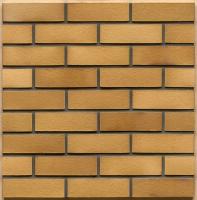 Клинкерный кирпич Westerwaelder WK01EG Niederlausitzer Gelb Edelglanz, 290*90*40 мм