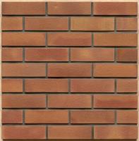 Клинкерный кирпич Westerwaelder WK08  Lachsrot, 290*90*40 мм