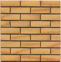 Клинкерный кирпич Westerwaelder WK02 Gelb-bunt, 290*90*40 мм