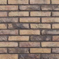 Клинкерный кирпич Vandersanden 310 HF Castello Geel, HF 228х90х40 мм