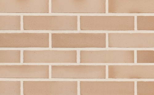 Кирпич облицовочный керамический пустотелый Terca Titan гладкий, 250*85*65