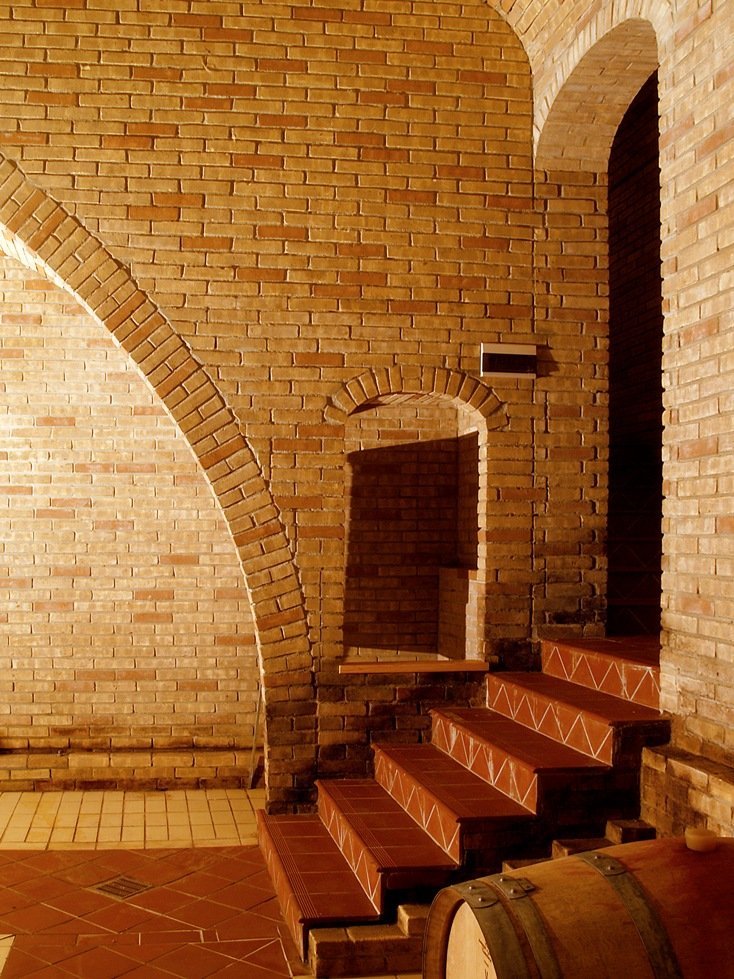 Укладка клинкера и камня в интерьере