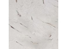 Клинкерная напольная плитка ABC Antik Muschelweiss, 310x310x8 мм