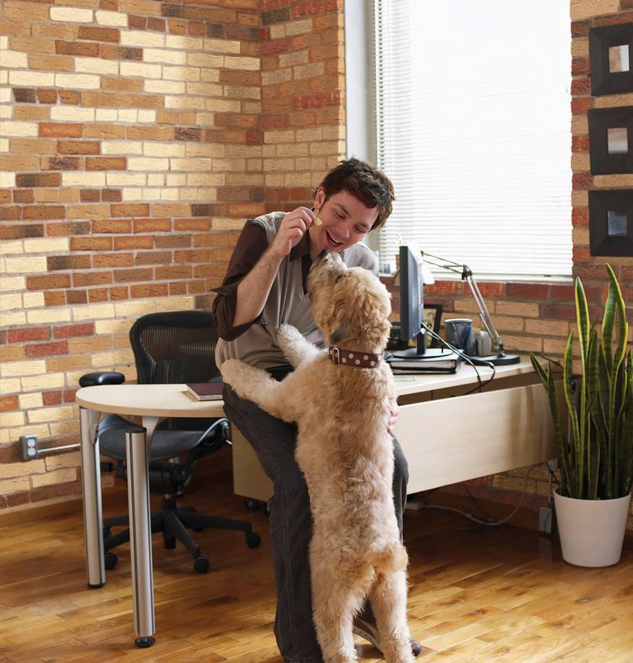 Укладка клинкера и камня в интерьере